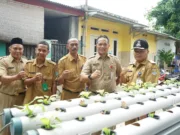 Camat Cisoka Berikan Bantuan 150 Bibit Sayur Mayur Kepada 10 Desa