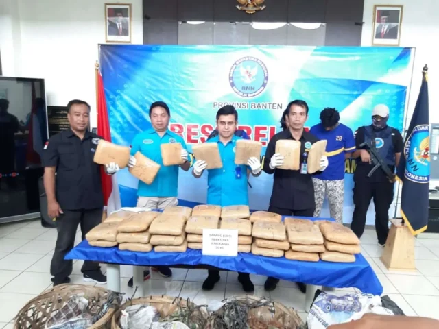 Terlibat Penyelundupan 50 kilo Ganja, Kurir dan Pemilik Dibekuk BNNP Banten