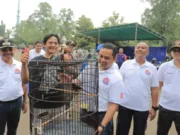 Sambut Hut Ke 27, Ribuan Komunitas Ramaikan Festival Burung Berkicau Piala Wali Kota Tangerang