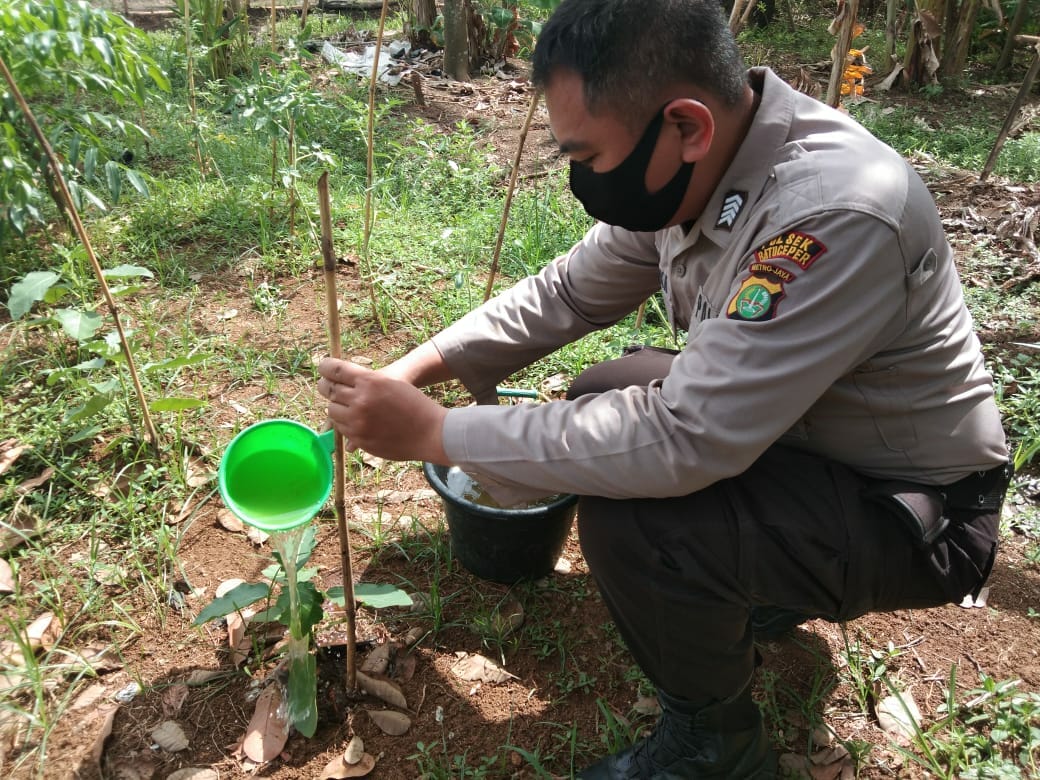 Tanam Puluhan Pohon, Kapolsek Ajak Masyarakat Hijaukan Lingkungan