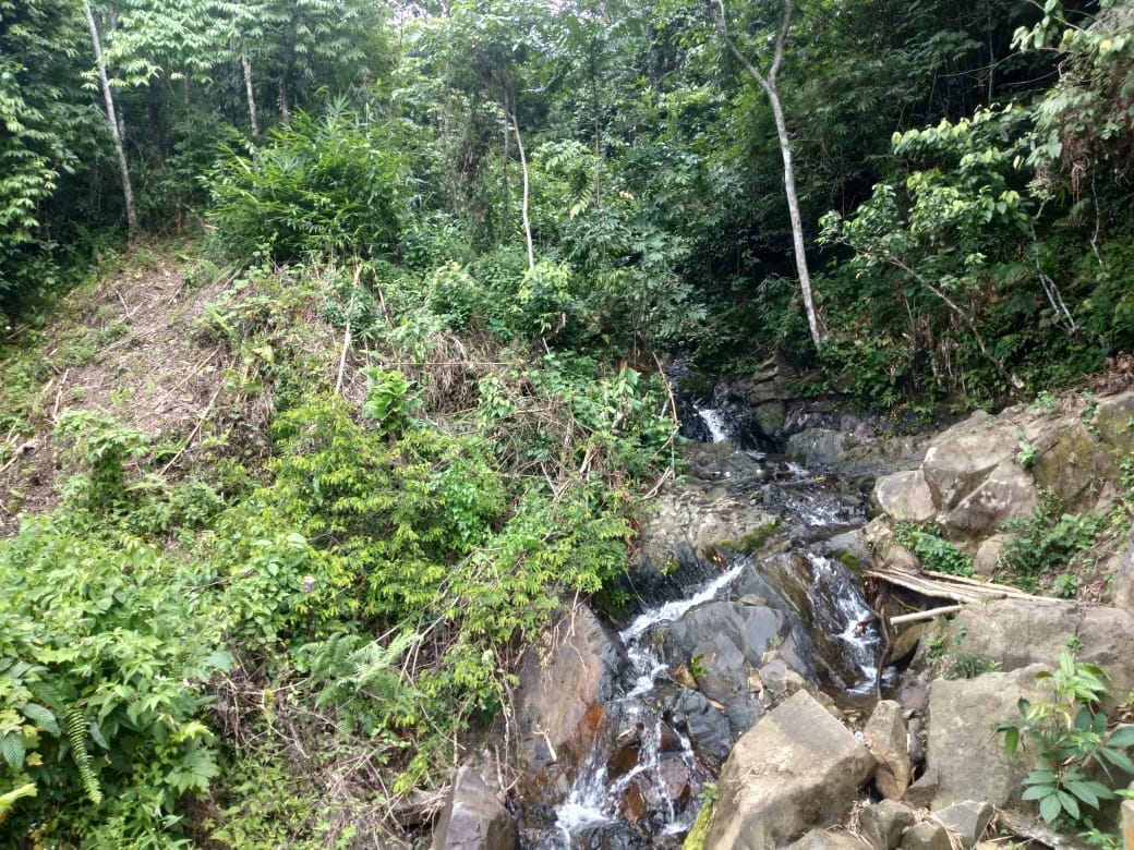 Kolam Boyo, Surga Tersembunyi di Desa Pulau Kidak