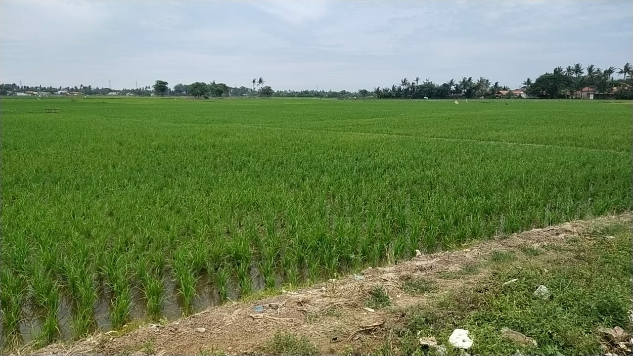 Jadi Mediator Rakyat dan Pengembang Soal Tanah, APDESI : Dampak Positifnya Banyak Sekali