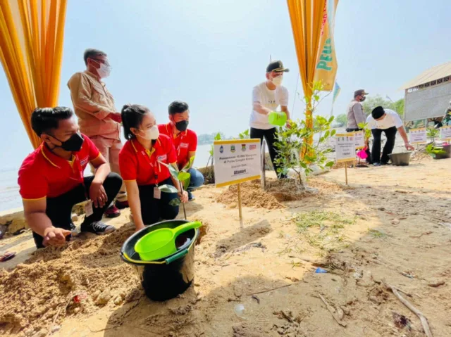 Peringati Hari Lingkungan Hidup Sedunia, Alfamart Tanam Pohon Mangrove di Pulan Cangkir