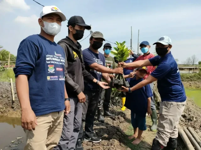 Peduli Lingkungan, IMANU, HIPMI dan HNSI Kabupaten Tangerang Tanam Mangrove di Lontar