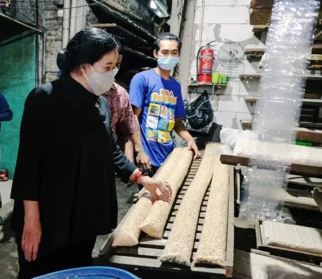 Kunker di Jatim, Puan Cek Harga dan Pasokan Minyak Goreng dan Tempe