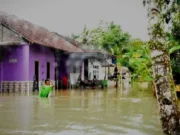 Bencana Banjir Masih melanda Wilayah Kabupaten Purworejo