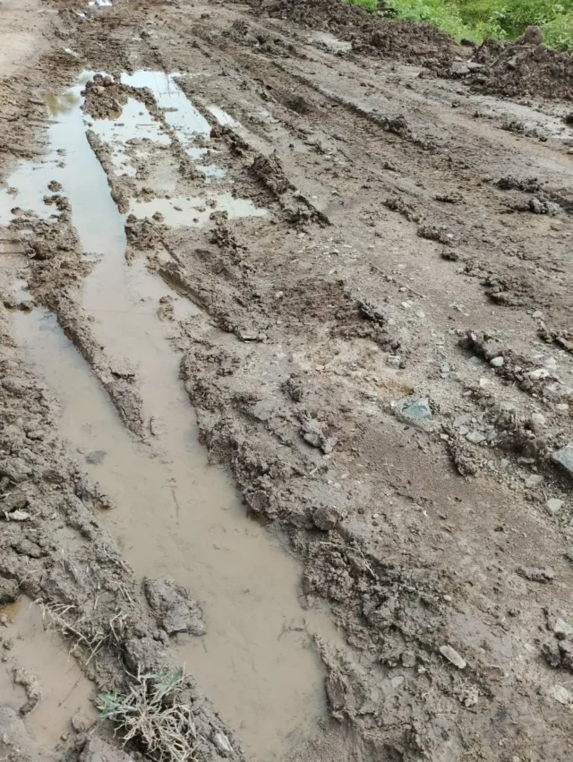 Kondisi ruas Jalan Air Hitam - Sungai Cemara, Kecamatan Sadu, mengalami kerusakan cukup parah