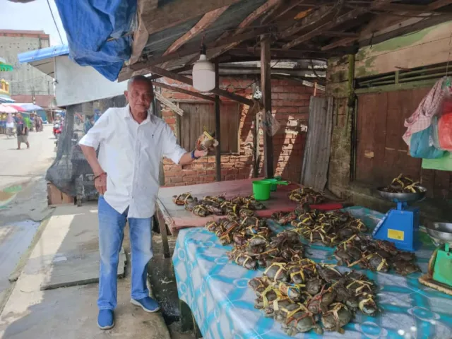 Harga kepiting bakau, atau kepiting batu di Kuala Tungkal harganya cukup terjangkau.