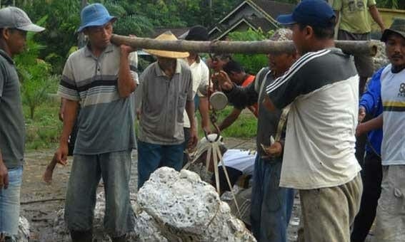 Harga getah karet Jambi terpuruk cukup parah, dan sekarang hanya di hargai Rp 5.000/kilo ke petani.