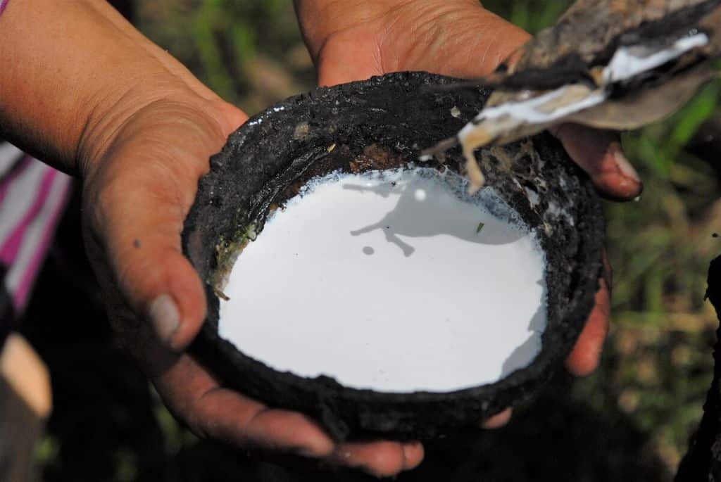 Nasib petani getah karet di Jambi menjerit di tengah anjloknya harga yang kian cukup parah. 