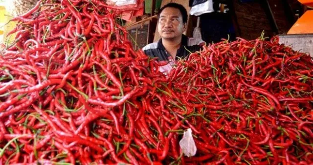 Harga Cabe Merah di Jambi anjol ke harga Rp 15.000/Kilogram.