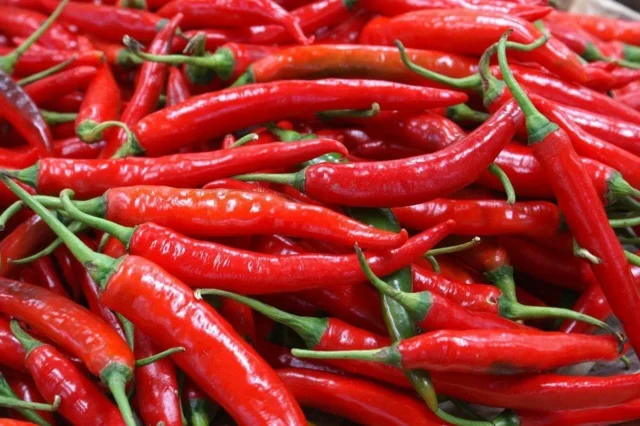 Harga cabe merah di Jambi dihargai Rp 15 Ribu/Kilogram.