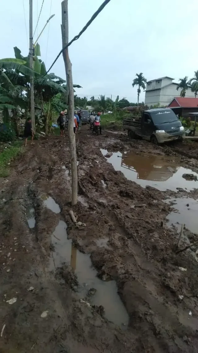 Beginilah kondisi kerusakan ruas jalan di Kabupaten Tanjung Jabung Timur.