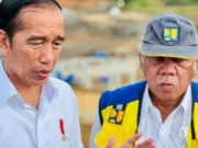 Presiden Jokowi Dijadwalkan, Besok Selasa (16/5-2023) ke Jambi tinjau jalan rusak di Kabupaten Tanjung Jabung Timur.