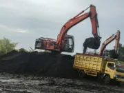 Tambang batubara di Jambi seluruhnya terancam bangkrut. poto/pelita.co/ist