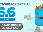 Produk yang Paling Sering Diincar Saat Memasuki Promo Tanggal Kembar Belanja Online