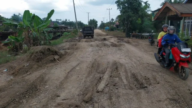 Beginilah kondisi kerusakan ruas Jalan Provinsi Jambi di Kabupaten Tanjung Jabung Timur yang menghubungkan Lambur II - Rantau Rasau - Nipah Panjang. Poto/Pelita.Co/ist