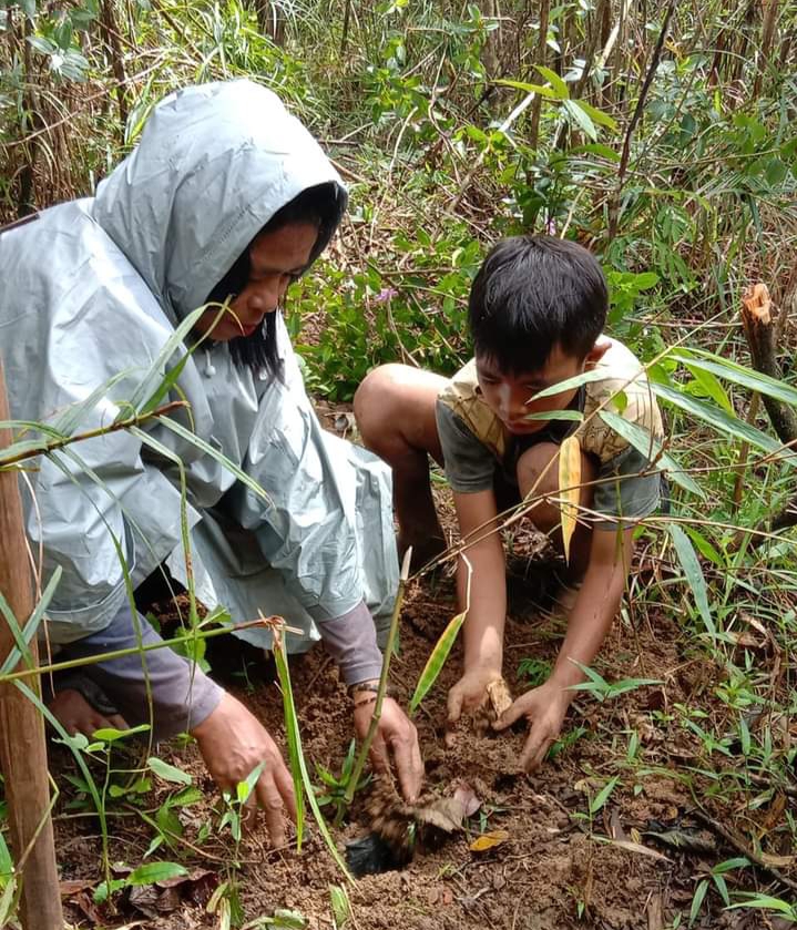 Kompak, SDI Watu Wangka Manggarai Barat NTT Tanam 250 Anakan Bambu