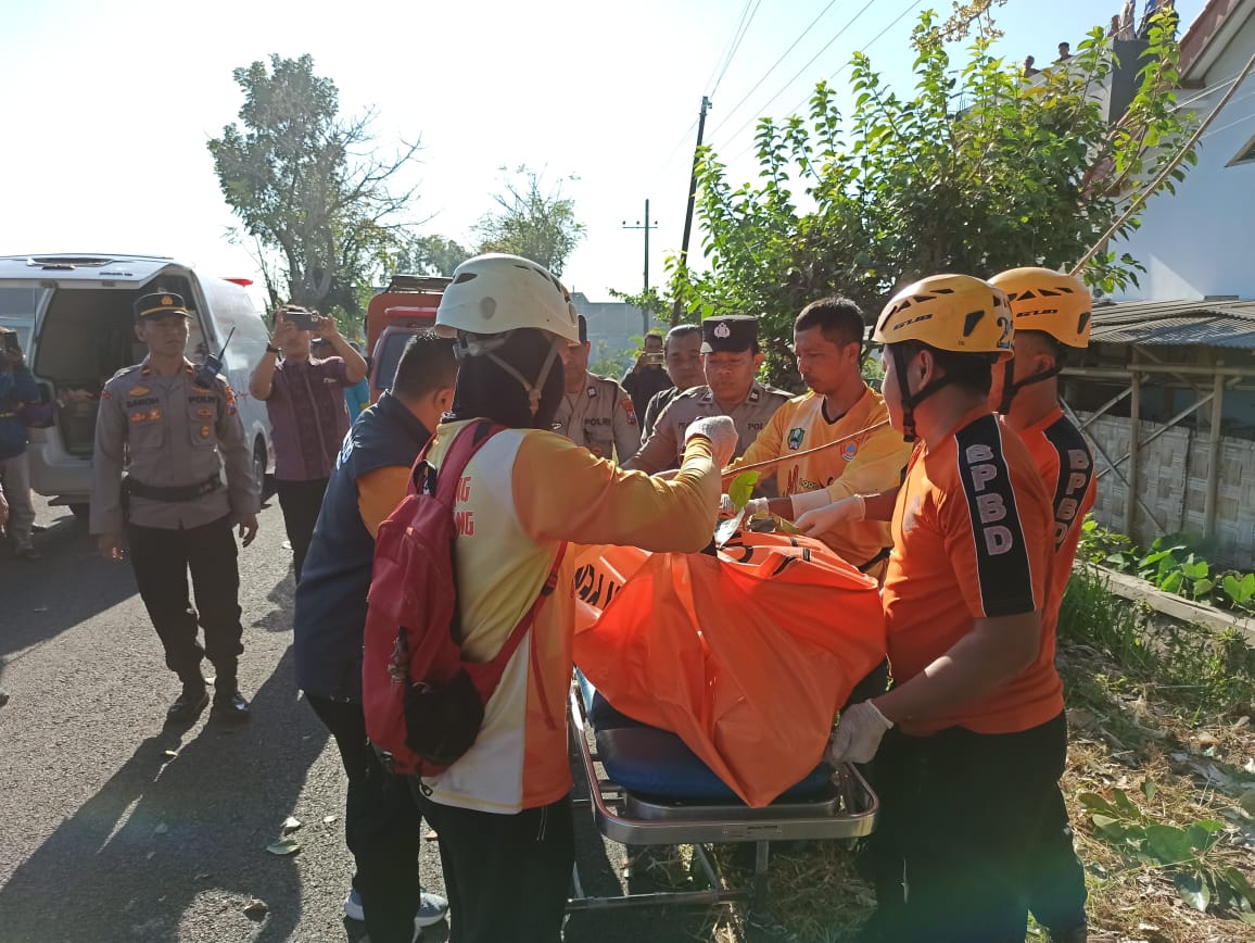 Magetan Heboh, Pria Tewas Tersengat Listrik di Atas Pohon